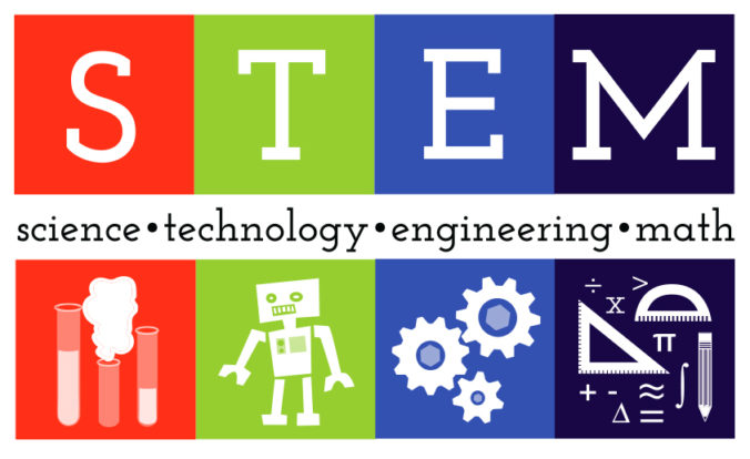 define stem in biology